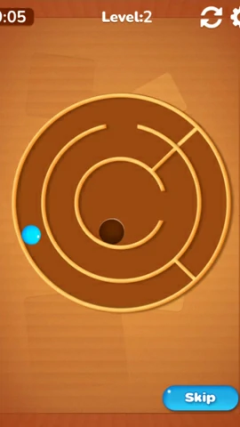 Spiny Maze Puzzle screenshot 4
